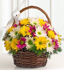 ���EK SEPET�